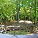Tatil Evi De Specht Bergen