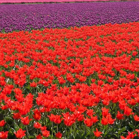 Vakantiehuis De Specht Bergen