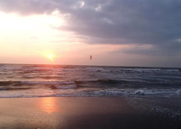 De Specht Vakantiehuis Bergen