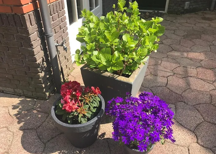 De Specht Vakantiehuis