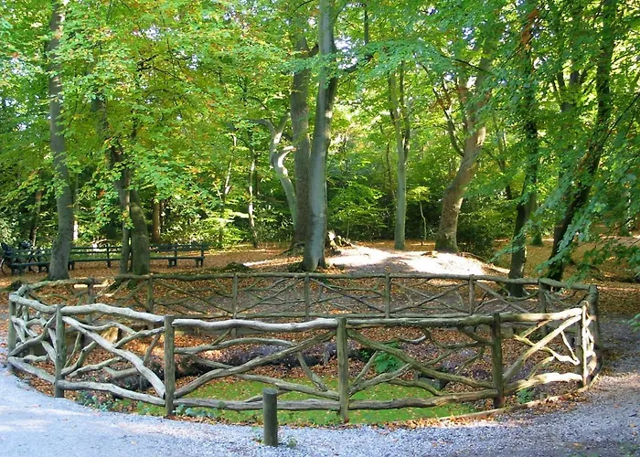 Vakantiehuis De Specht Bergen