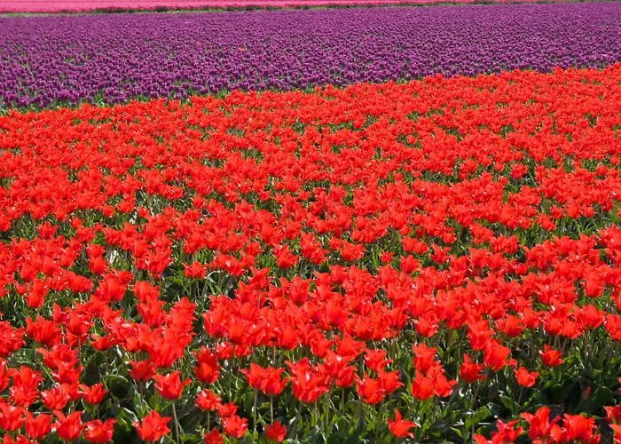 Prázdninový dům De Specht Bergen